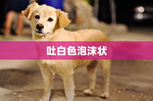 吐白色泡沫狀