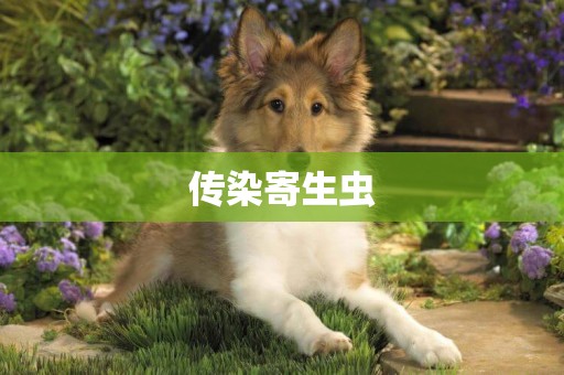 傳染寄生蟲