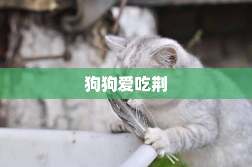 狗狗愛吃荊
