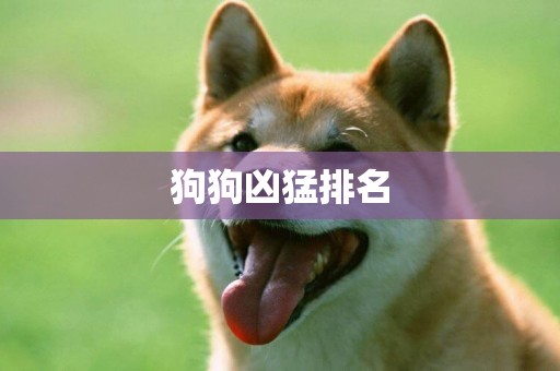 狗狗兇猛排名