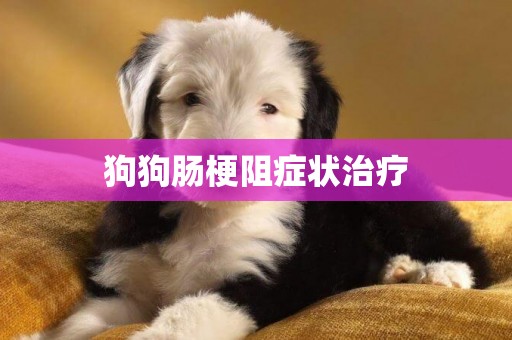 狗狗腸梗阻癥狀治療
