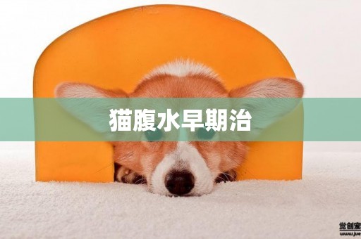 貓腹水早期治