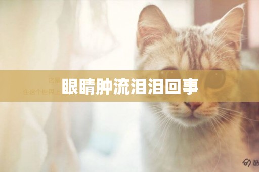 眼睛腫流淚淚回事