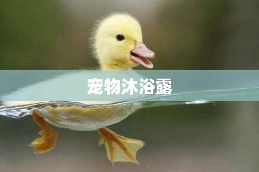 寵物沐浴露