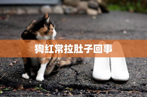 狗紅常拉肚子回事