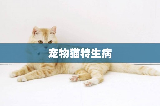 寵物貓特生病