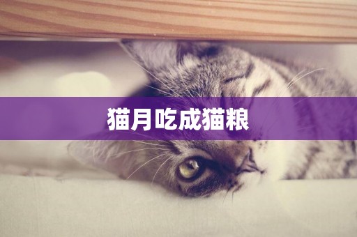 貓月吃成貓糧