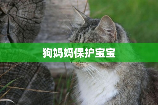狗媽媽保護寶寶
