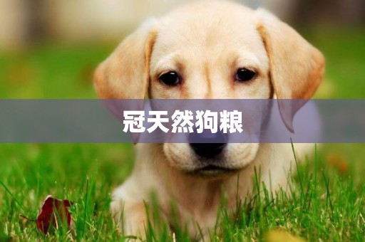 冠天然狗糧