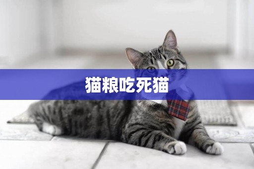 貓糧吃死貓