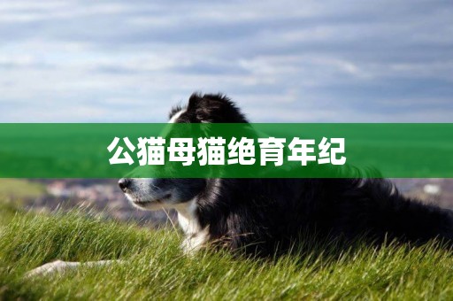 公貓母貓絕育年紀