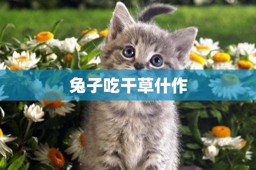 兔子吃干草什作