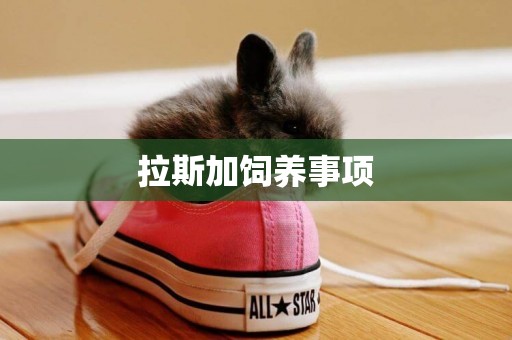 拉斯加飼養事項