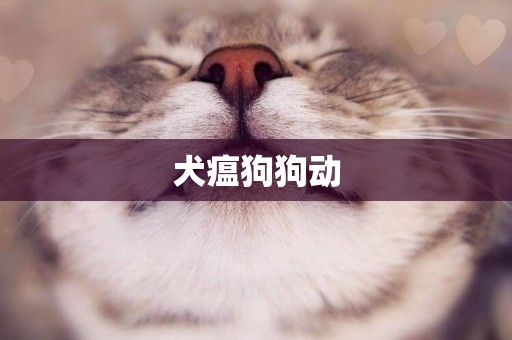 犬瘟狗狗動
