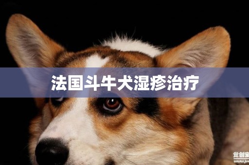 法國斗牛犬濕疹治療