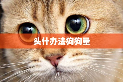 頭什辦法狗狗暈