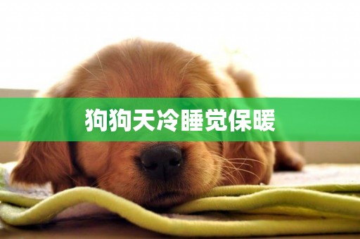 狗狗天冷睡覺保暖