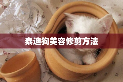 泰迪狗美容修剪方法