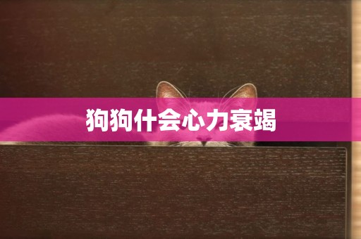 狗狗什會心力衰竭
