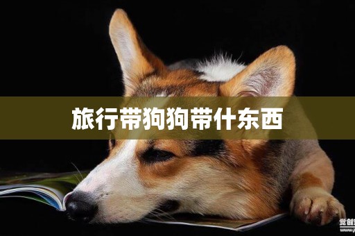 旅行帶狗狗帶什東西