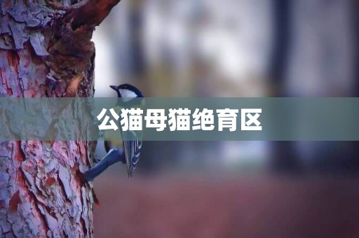 公貓母貓絕育區