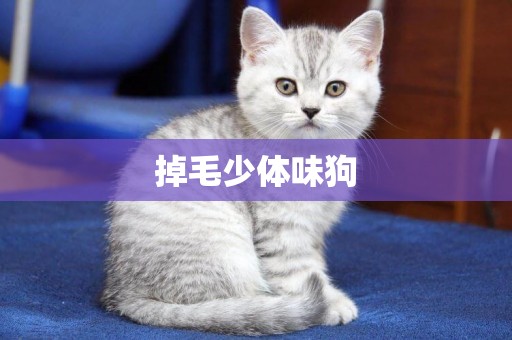 掉毛少體味狗