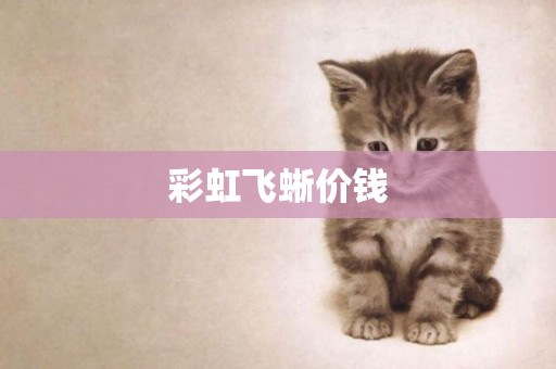 彩虹飛蜥價錢