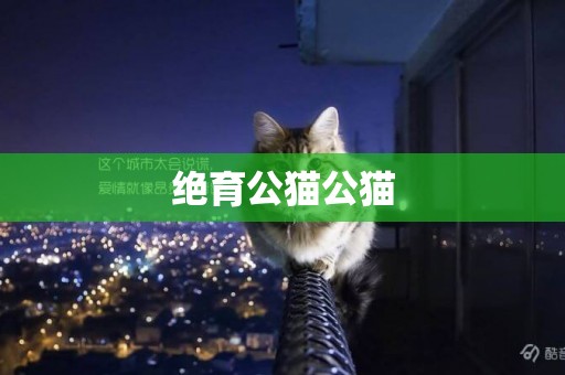 絕育公貓公貓