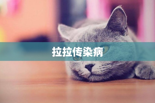 拉拉傳染病