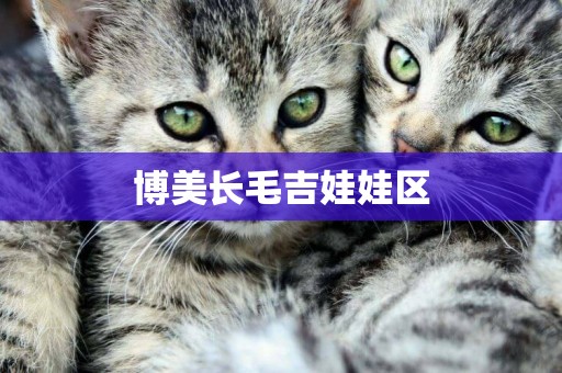 博美長毛吉娃娃區