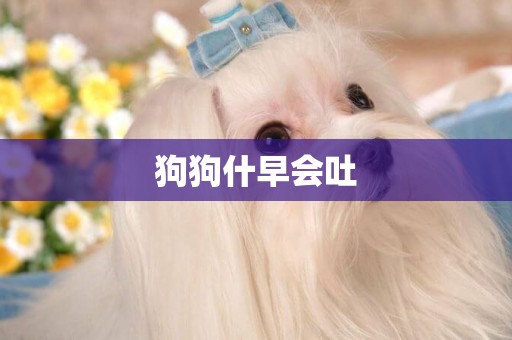 狗狗什早會吐