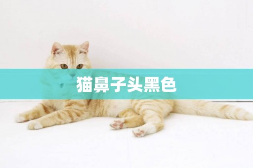 貓鼻子頭黑色
