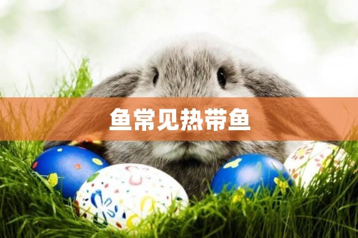 魚常見熱帶魚