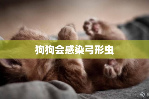 狗狗會感染弓形蟲