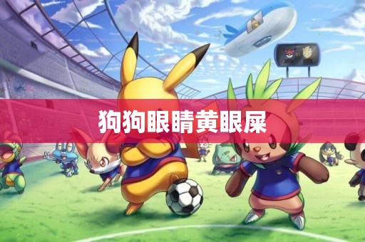 狗狗眼睛黃眼屎