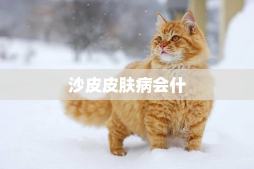 沙皮皮膚病會什