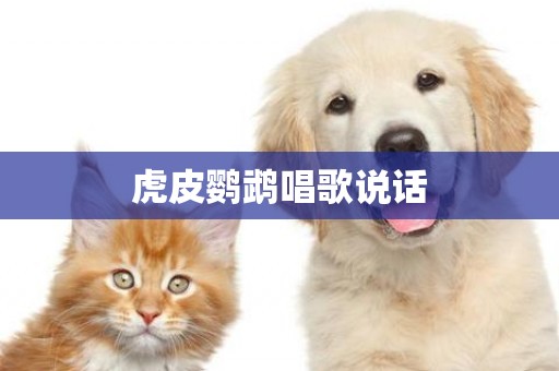 虎皮鸚鵡唱歌說話