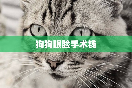 狗狗眼瞼手術錢