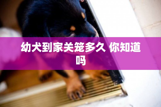 幼犬到家關籠多久 你知道嗎