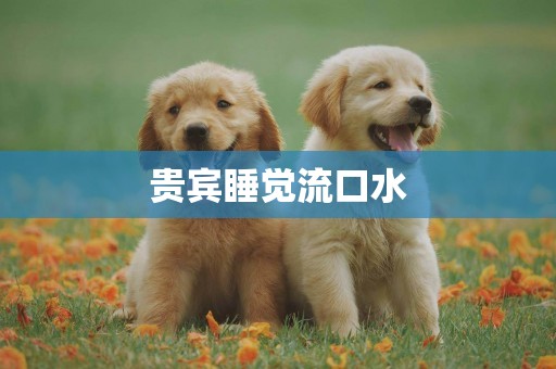 貴賓睡覺流口水