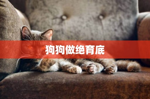 狗狗做絕育底