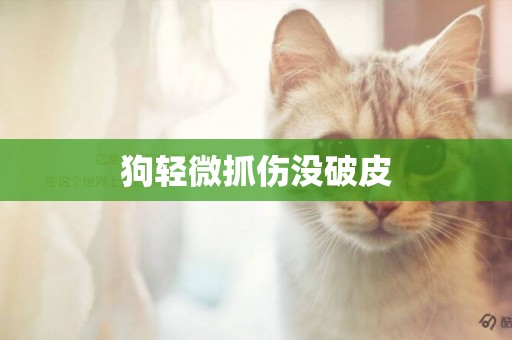 狗輕微抓傷沒破皮