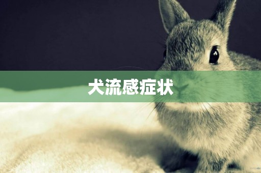 犬流感癥狀