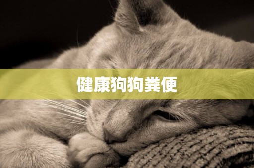 健康狗狗糞便
