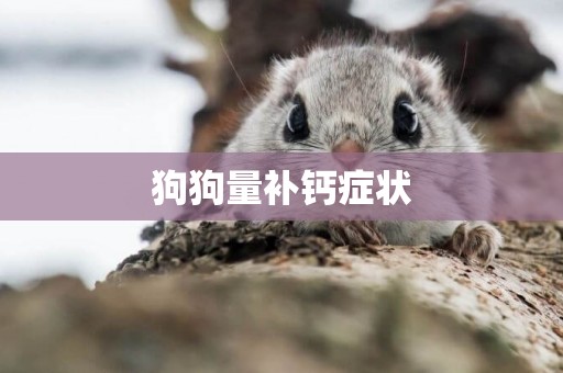 狗狗量補鈣癥狀