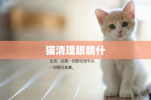 貓清理眼睛什