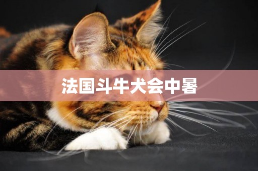 法國斗牛犬會中暑