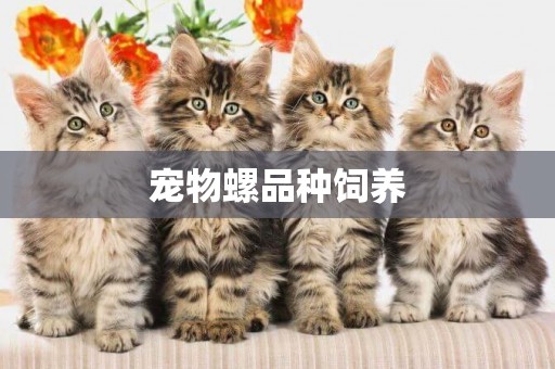 寵物螺品種飼養