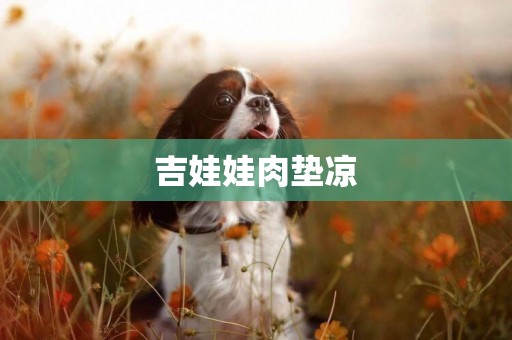 吉娃娃肉墊涼