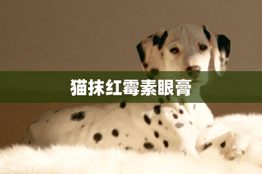 貓抹紅霉素眼膏
